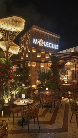 Molecule Gwalior